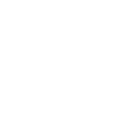 CommSys logo