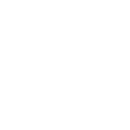 Cosmic Acupuncture logo