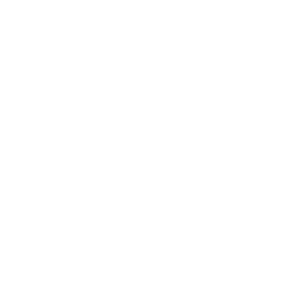 Mad Street Films logo