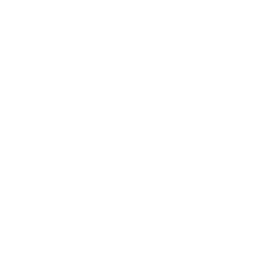 Octopus Energy logo