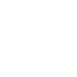 Southern Edge logo