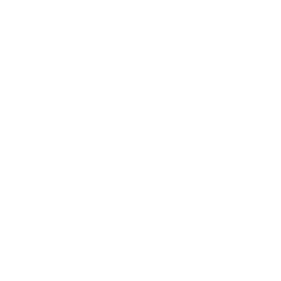 Strongmind Performance Consulting logo