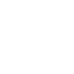 Viking Social Poker Club logo