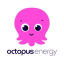Octopus EV